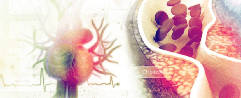 Kostholdsveiledning for Metabolsk syndrom fra kliniske ernæringsfysiologer som kan hjertehelse, mat og drikke, og endringsteori. Bildet illustrere hjertehelse inkl et hjerte og blodkar.