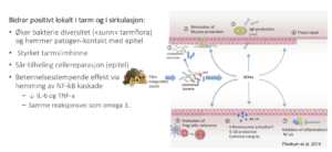 kortkjedede fettsyrer og betennelse