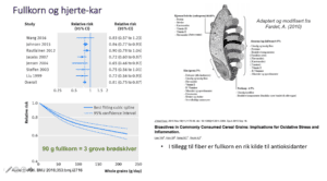 Fiber og revmtiske sykdommer